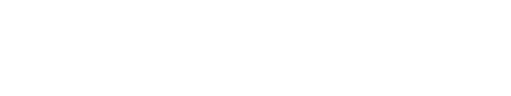 Electronicon